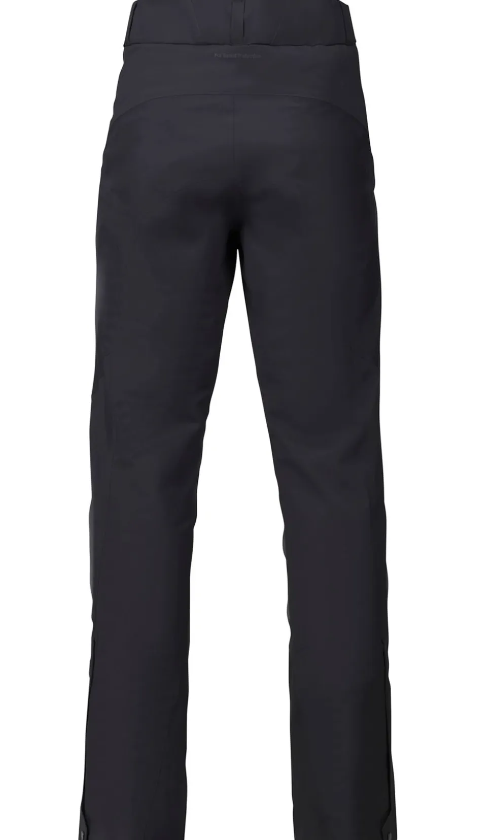 Apex GTX Pant Herr