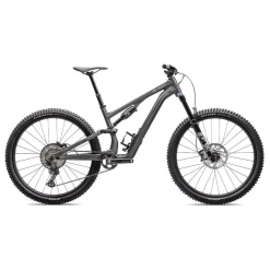 Stumpjumper 15 Comp Alloy